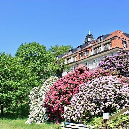 Ferienwohnung Natur Und Kunst Dresde Extérieur photo