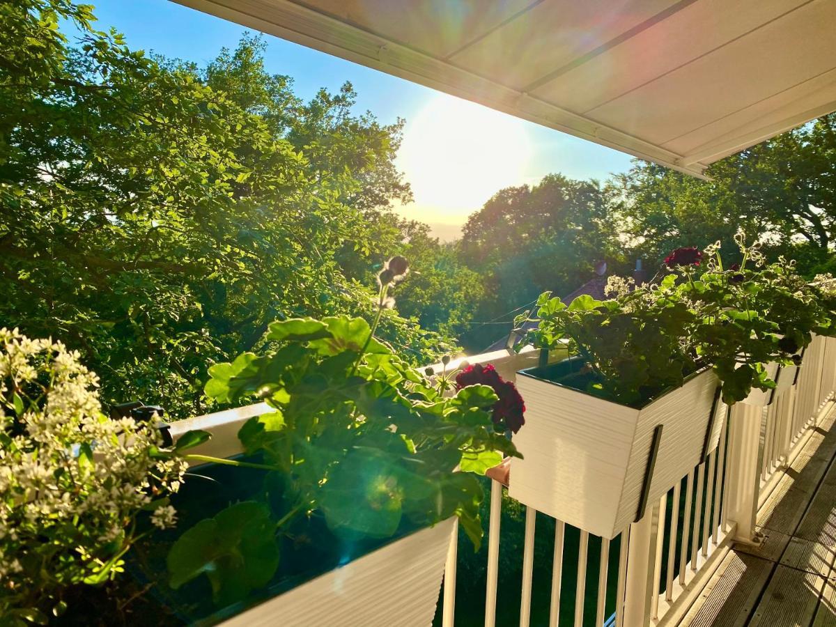Ferienwohnung Natur Und Kunst Dresde Extérieur photo