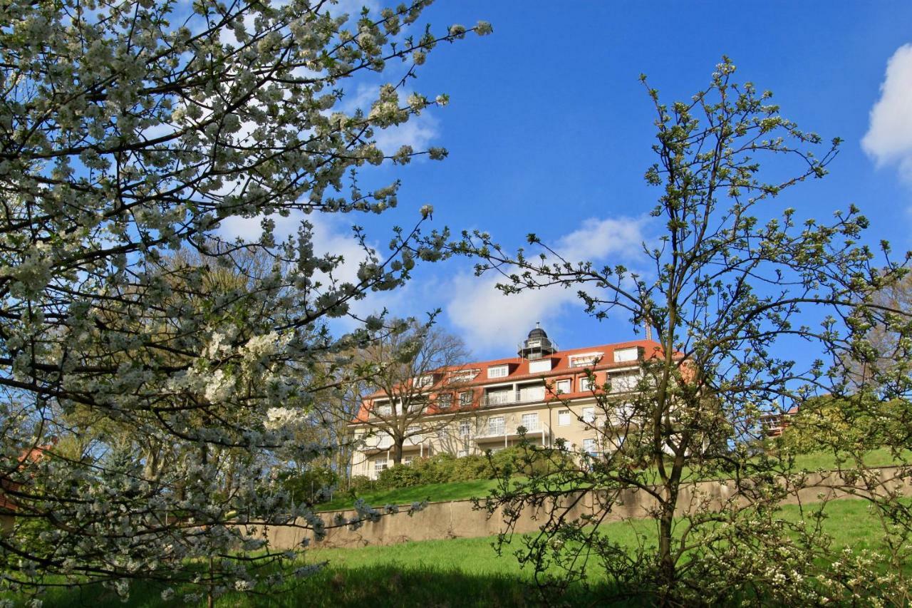 Ferienwohnung Natur Und Kunst Dresde Extérieur photo