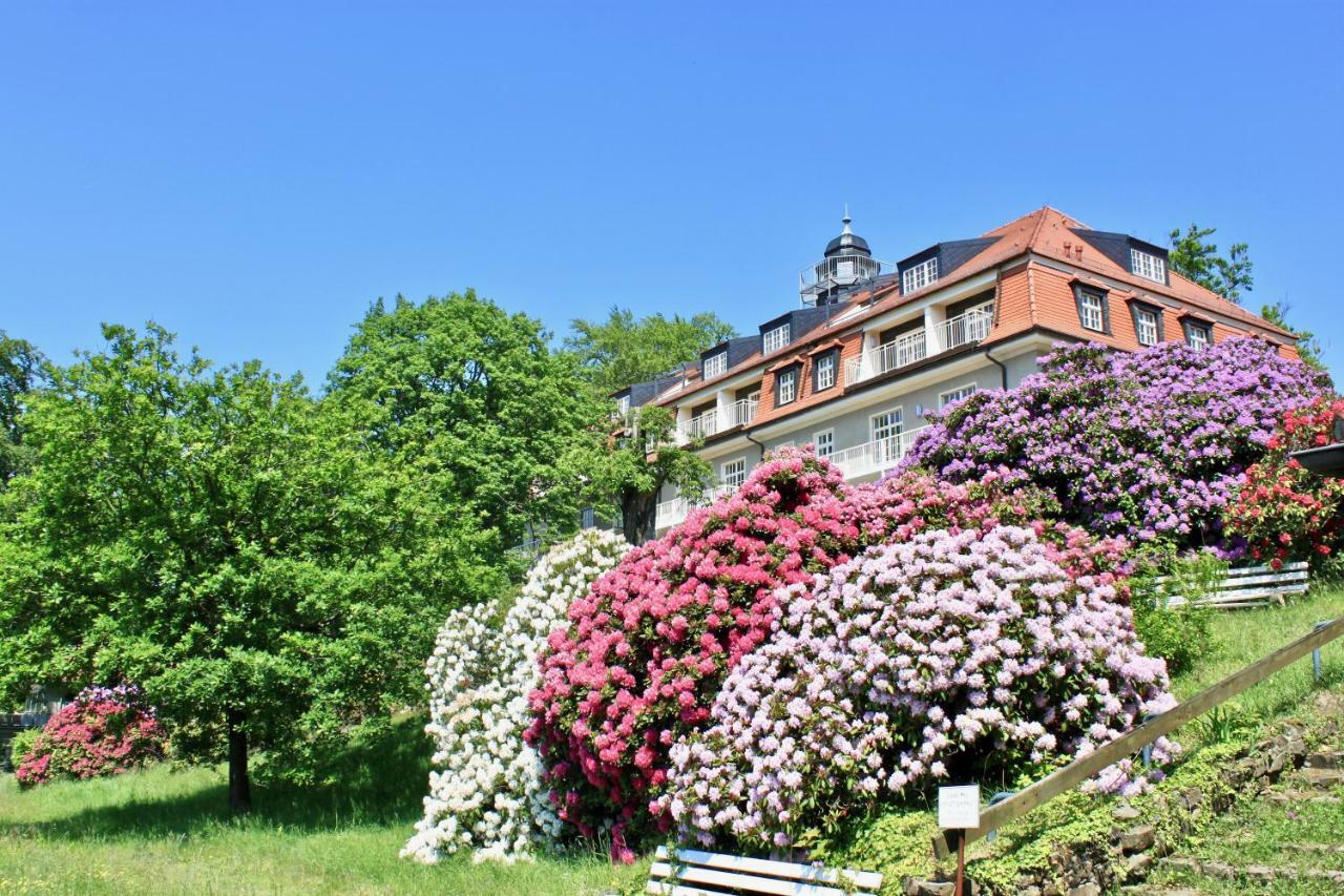 Ferienwohnung Natur Und Kunst Dresde Extérieur photo