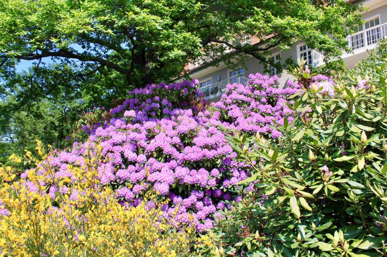 Ferienwohnung Natur Und Kunst Dresde Extérieur photo