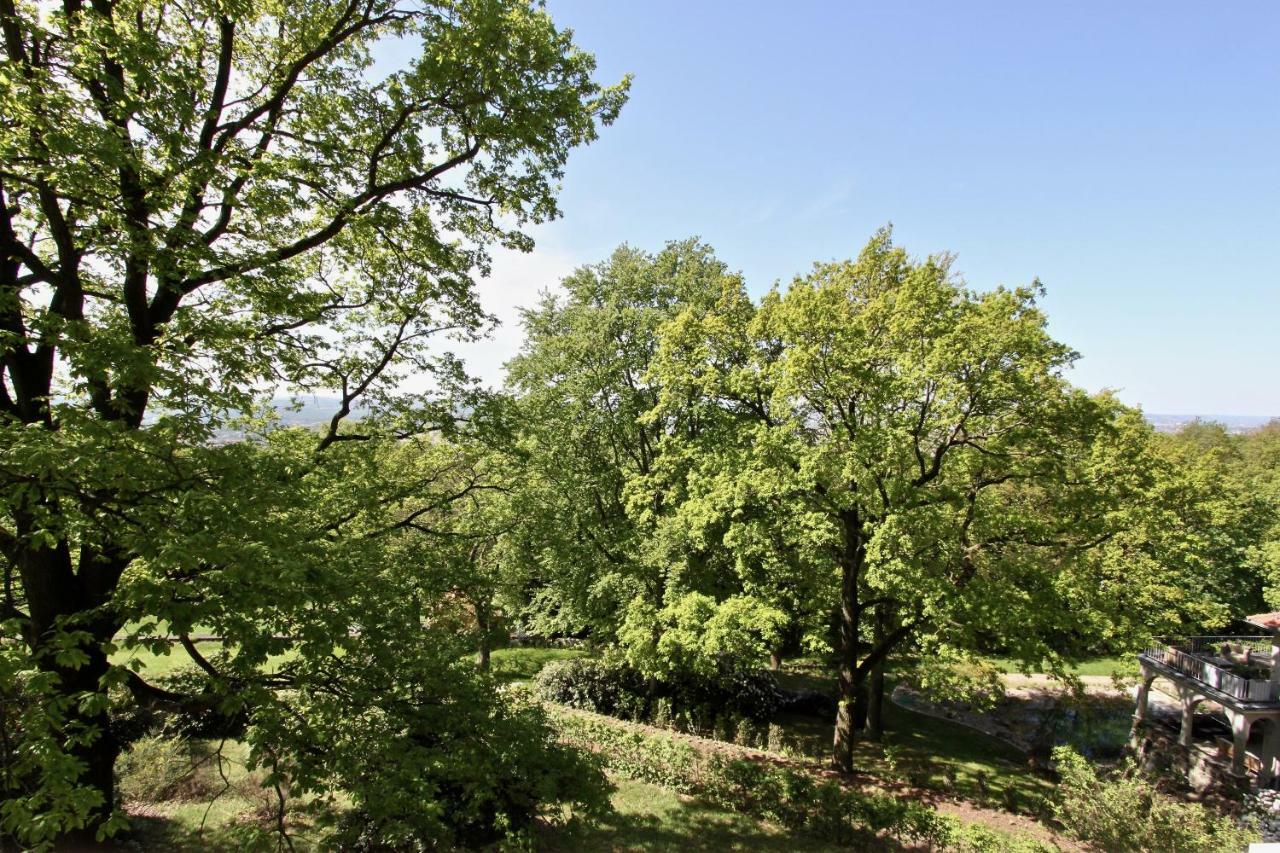 Ferienwohnung Natur Und Kunst Dresde Extérieur photo