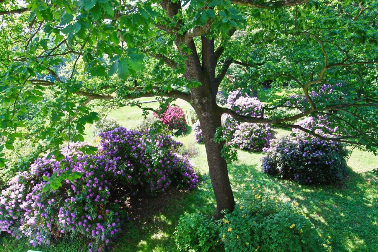 Ferienwohnung Natur Und Kunst Dresde Extérieur photo