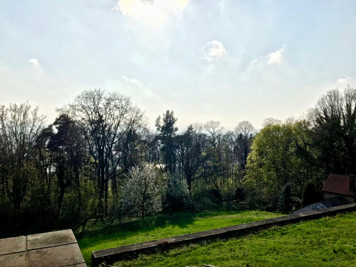 Ferienwohnung Natur Und Kunst Dresde Extérieur photo