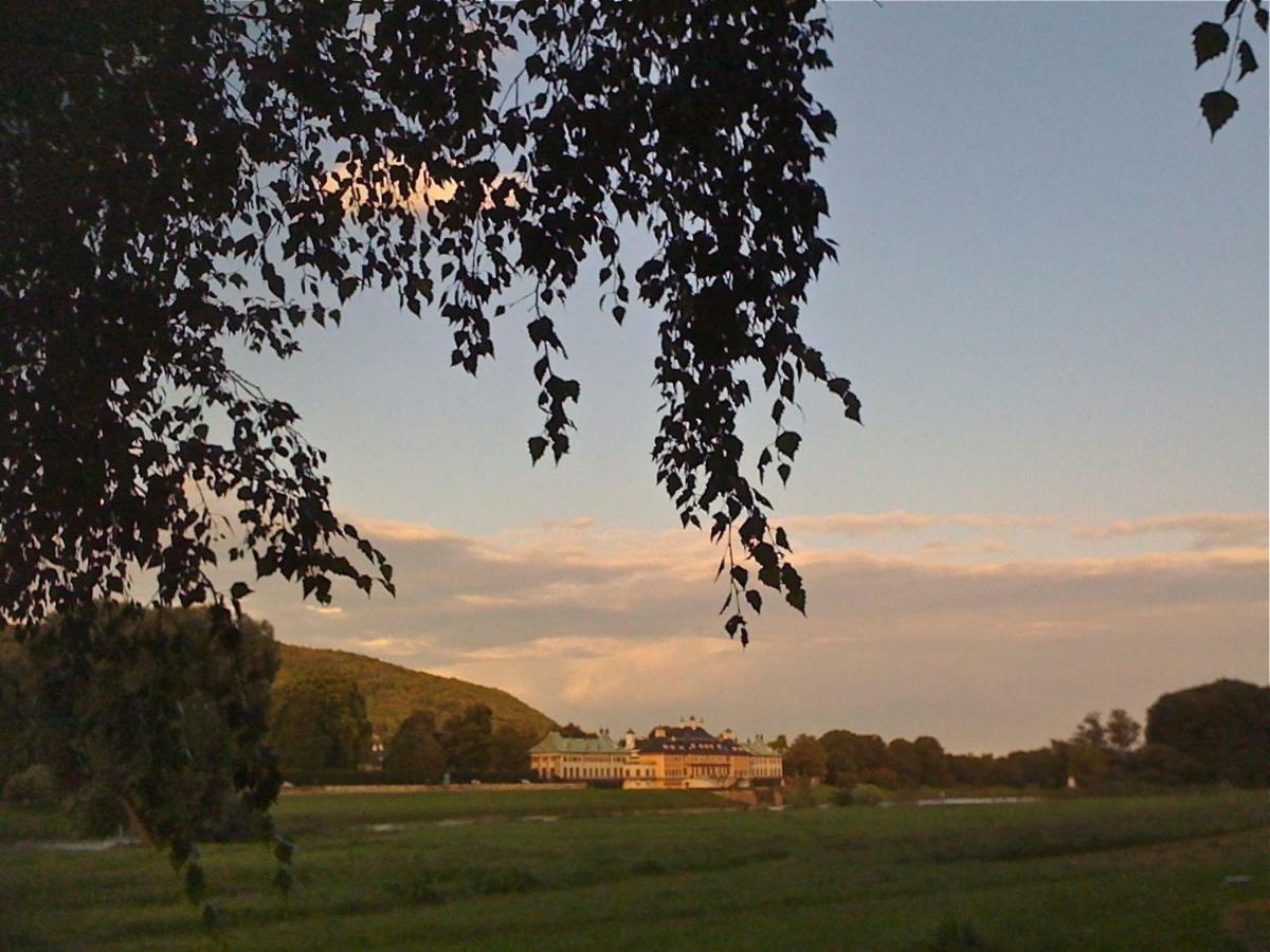 Ferienwohnung Natur Und Kunst Dresde Extérieur photo