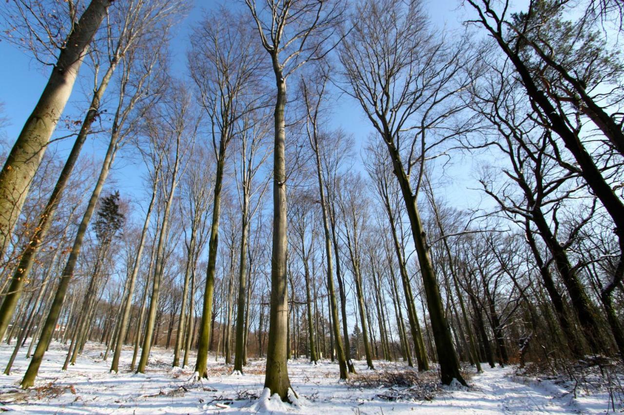Ferienwohnung Natur Und Kunst Dresde Extérieur photo